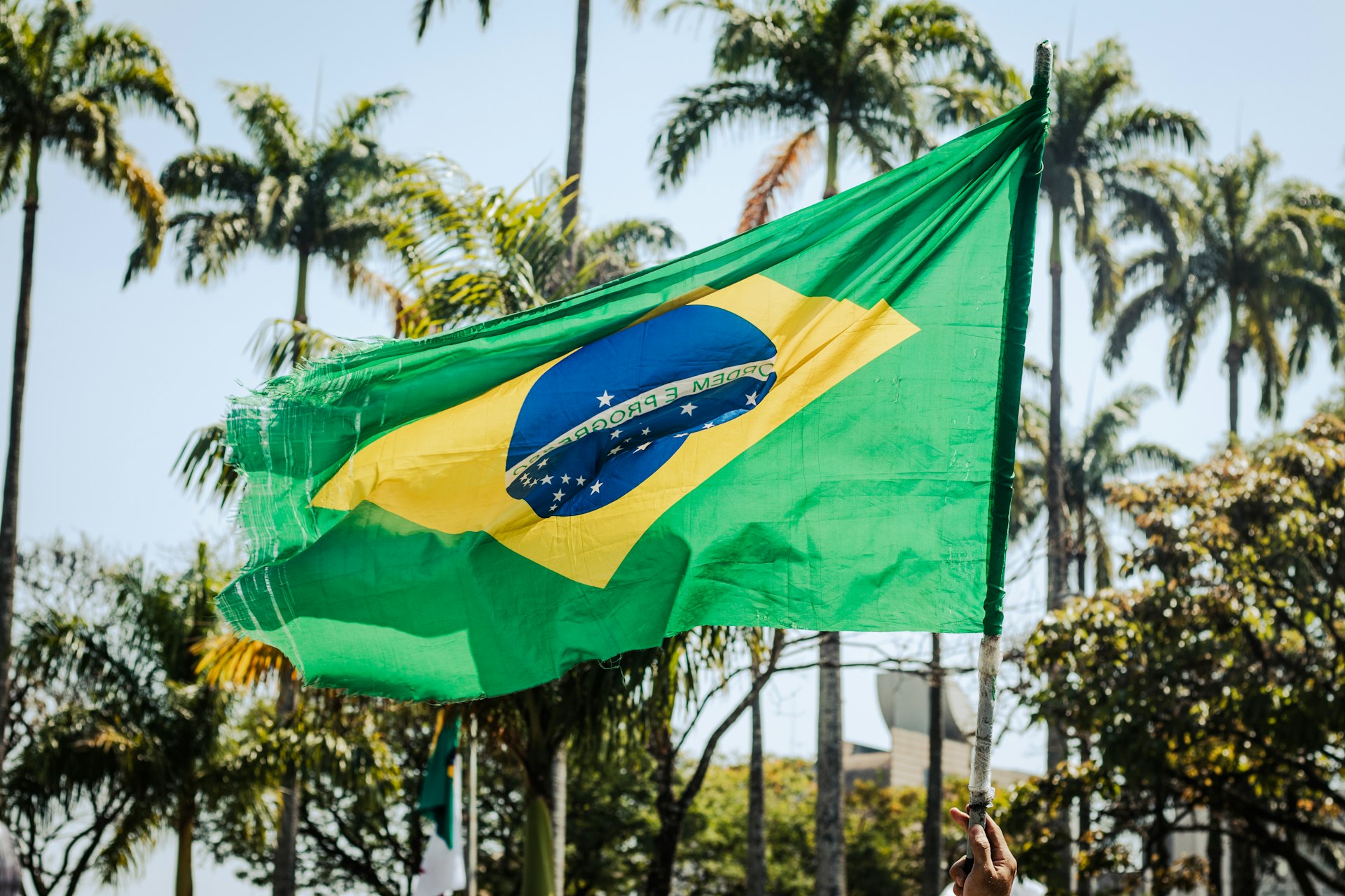 a flag flying in the wind with palm trees in the background